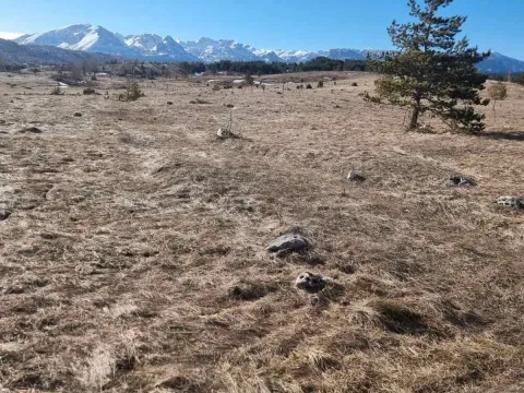 Prodaja, plac, 2200m², Žabljak, Crna Gora - image 4