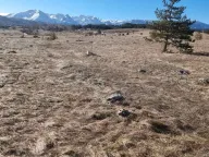 Sale, land lot, 2200m², Žabljak, Crna Gora - image 4