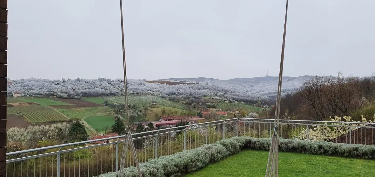 Prodaja, kuća, 337m², Sremska Kamenica, Petrovaradin