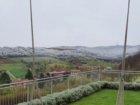 Prodaja, kuća, 337m², Sremska Kamenica, Petrovaradin - image 2