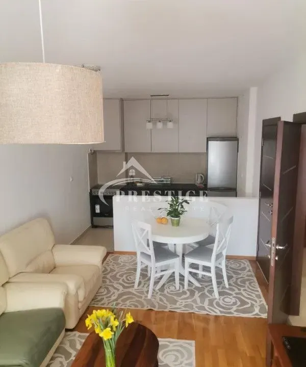 Izdavanje, jednosoban stan, 50m², Preko Morače, Podgorica