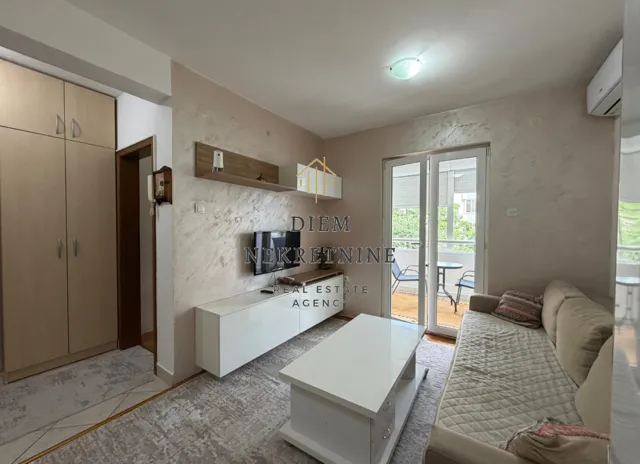 Izdavanje, jednosoban stan, 35m², Stari Aerodrom, Podgorica
