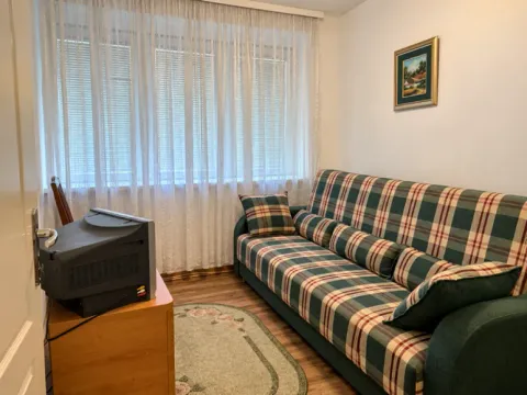 Manja dnevna soba sa kaučem na razvlačenje i televizorom. - image 11