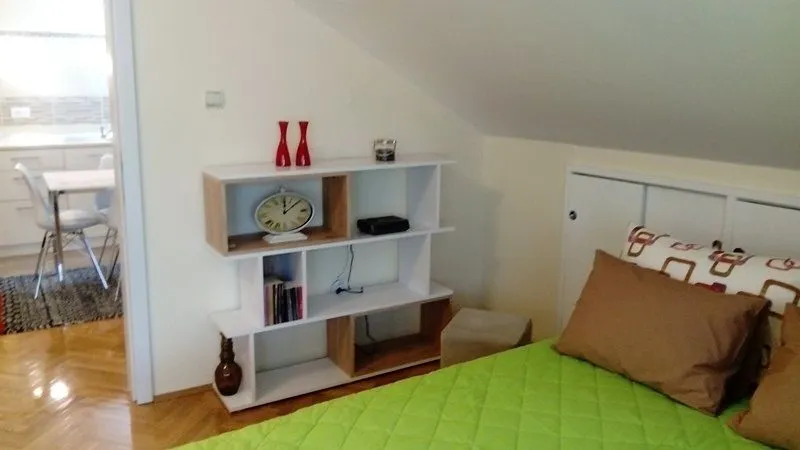 Izdavanje, dvosoban stan, 49m², Dedinje Sve Podlokacije, Beograd