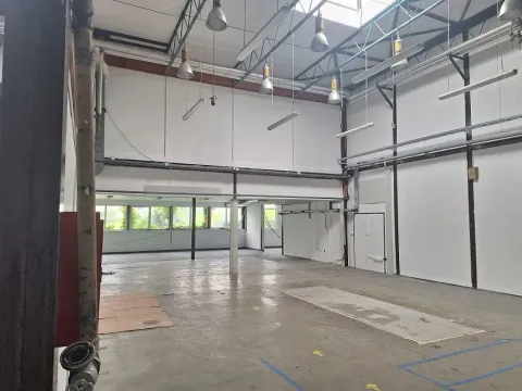 Izdavanje, poslovni prostor, 700m², Zemun Sve Podlokacije, Beograd - image 2