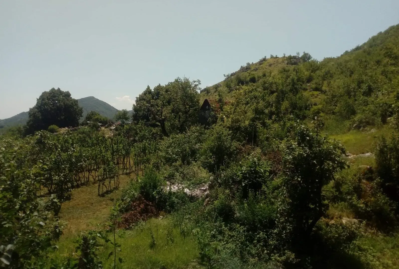 Prodaja, plac, 238441m², Cetinje, Crna Gora
