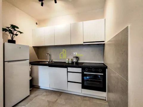 Izdavanje, jednosoban stan, 50m², Central Point, Podgorica - image 4