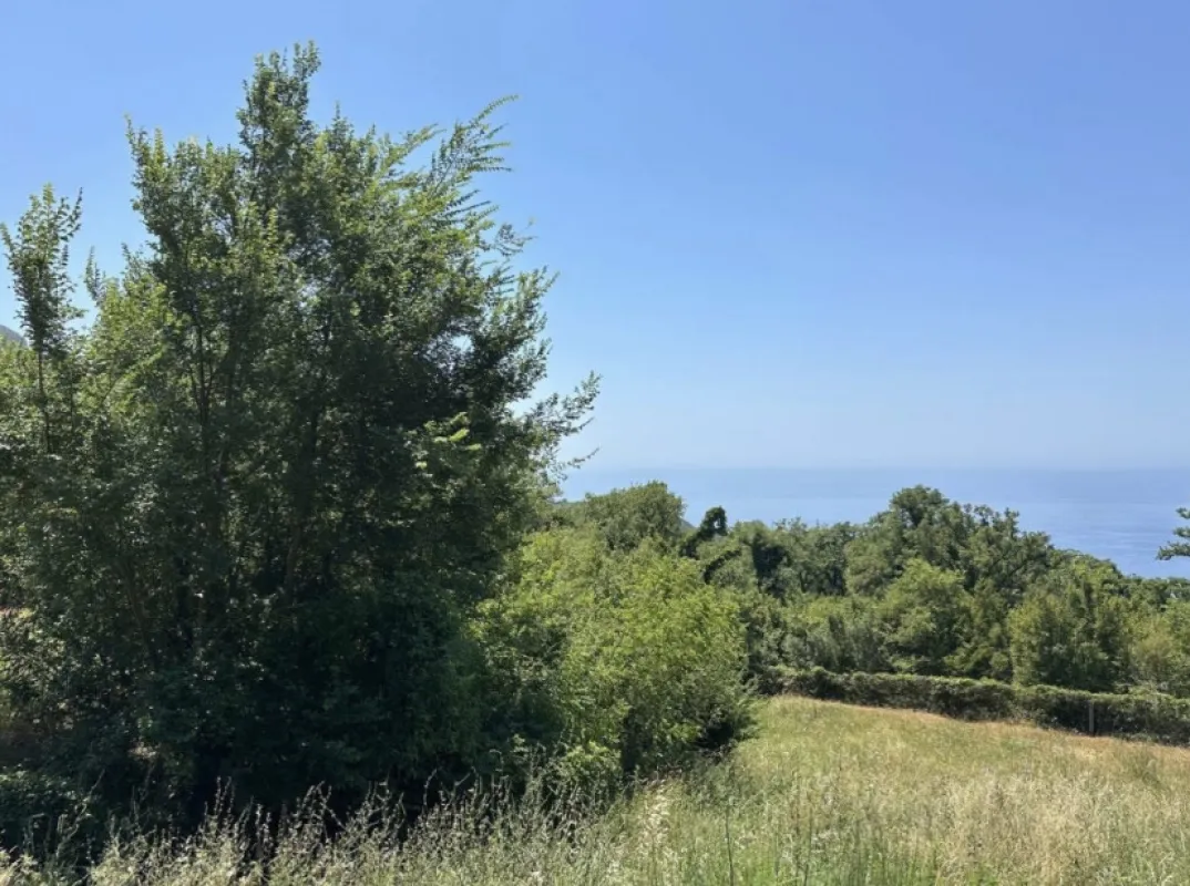 Prodaja, plac, 661m², Kuljače, Budva