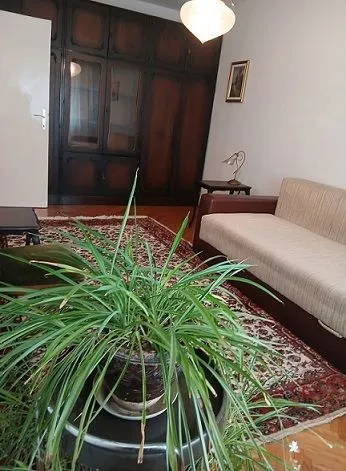 Dnevna soba sa garniturom za sedenje, velikim garderoberom i tepihom.