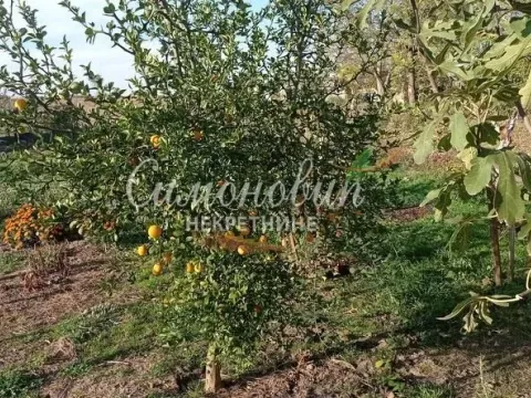 Sale, house, 236m², Surduk, Stara Pazova - image 7