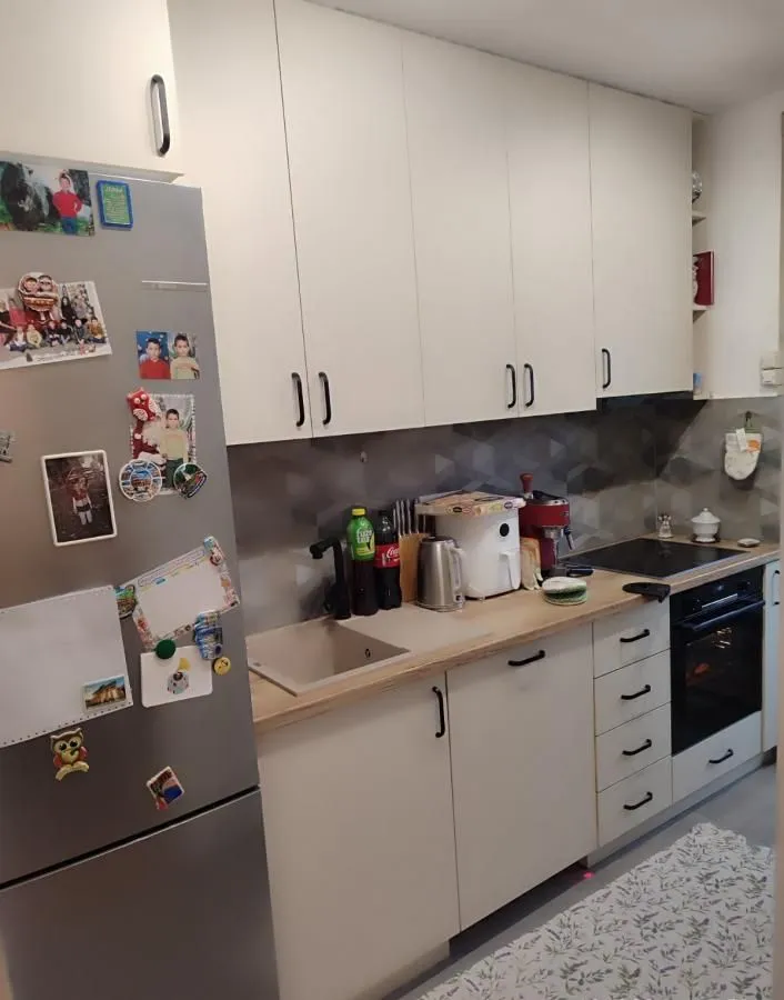 Manja kuhinja sa belim elementima, drvenom radnom površinom i frižiderom sa magnetima.