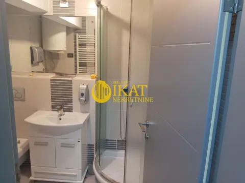 Izdavanje, poslovni prostor, 144m², Južni Bulevar, Vračar Sve Podlokacije - image 12