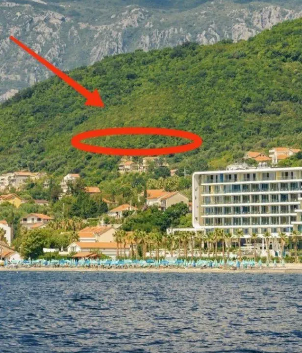 Sale, land lot, 19661m², Kumbor, Herceg Novi