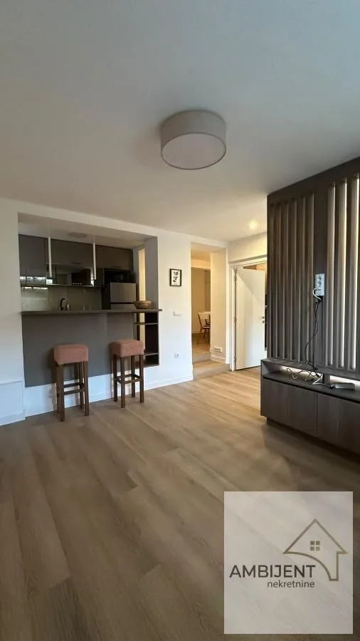 Dnevna soba sa šankom i manjom kuhinjom u pozadini.