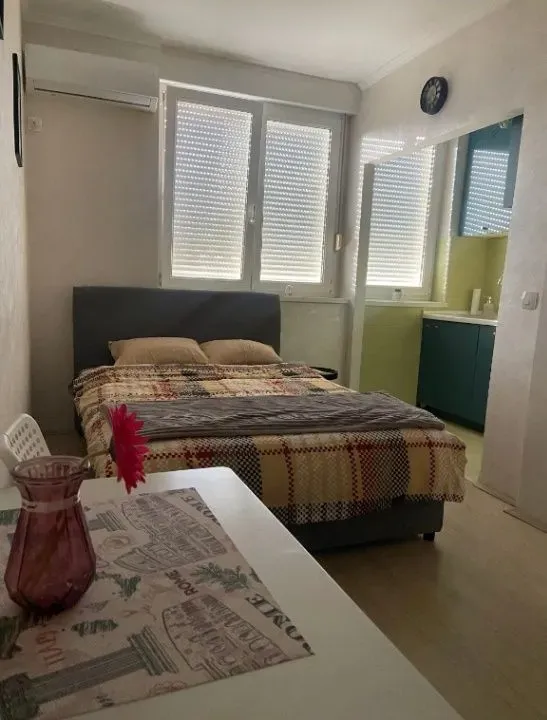 Stan-na-dan, garsonjera, 20m², Centar, Nikšić