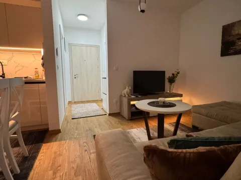 Rent, one bedroom apartment, 33m², City Kvart, Podgorica - image 11