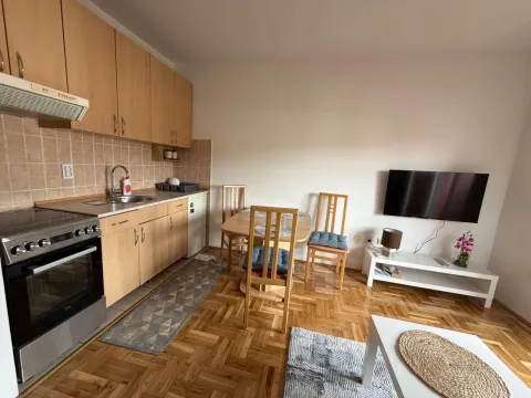Rent, studio apartment, 28m², Zabjelo, Podgorica - image 4