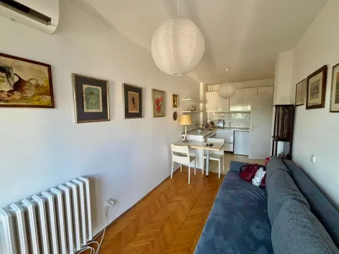 Rent, two bedroom apartment, 35m², Vračar Hram, Vračar Sve Podlokacije - image 2