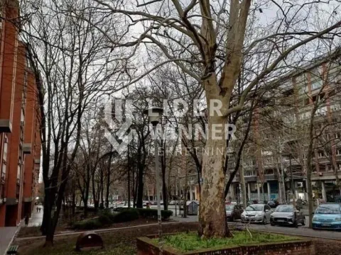 Sale, office space, 80m², Cvetkova Pijaca, Zvezdara Sve Podlokacije - image 15