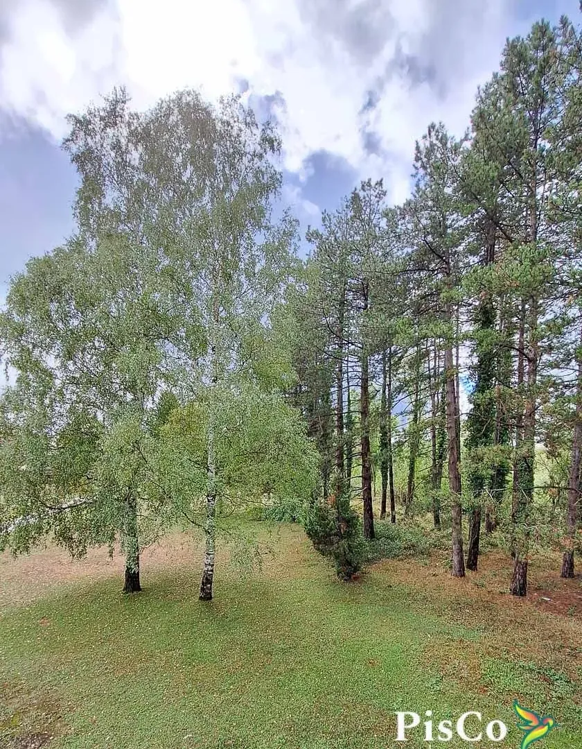 Prodaja, kuća, 260m², Nikšić, Crna Gora