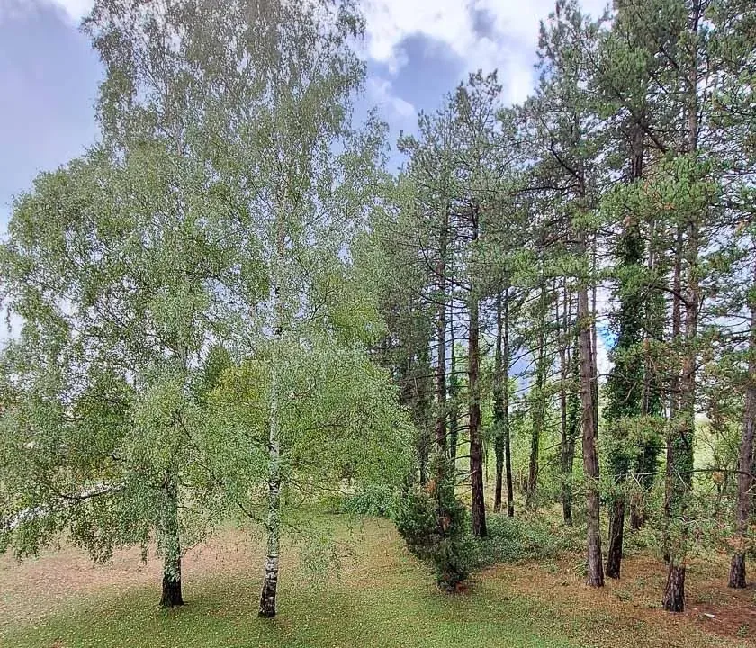 Prodaja, kuća, 260m², Nikšić, Crna Gora