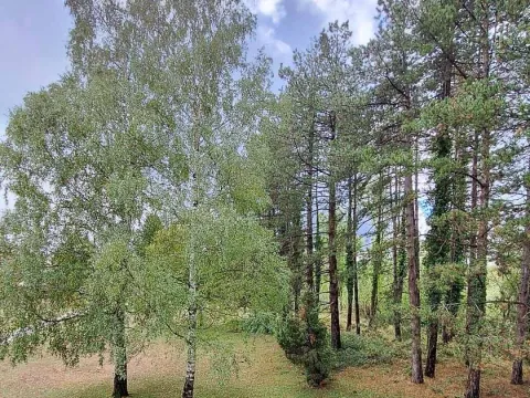 Prodaja, kuća, 260m², Nikšić, Crna Gora - image 1