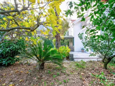 Prodaja, kuća, 67m², Orahovac, Kotor - image 4