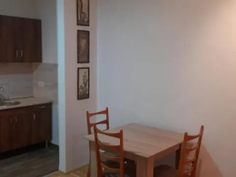 Izdavanje, garsonjera, 27m², Sajmište, Novi Sad - image 2