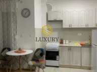 Izdavanje, garsonjera, 27m², Zabjelo, Podgorica - image 3