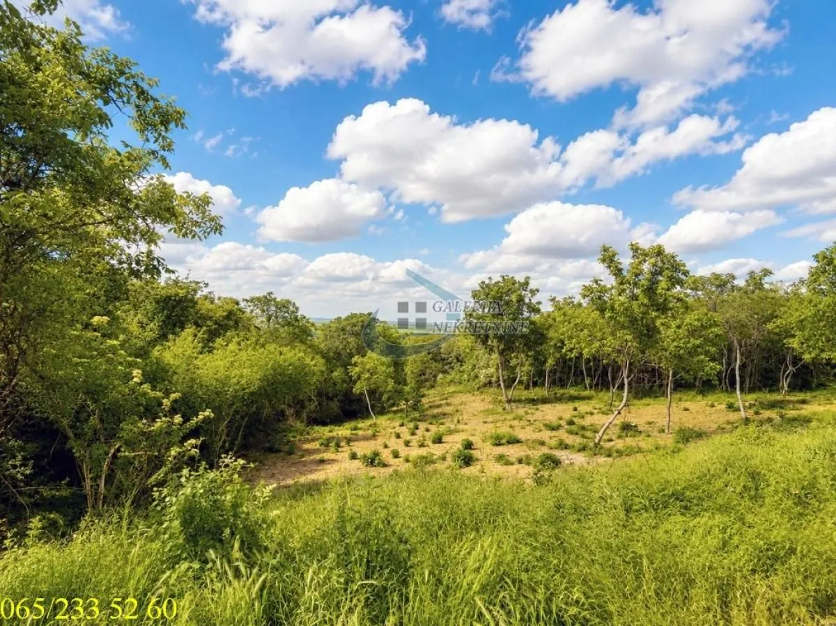 Sale, land lot, 2600m², Novi Slankamen, Inđija