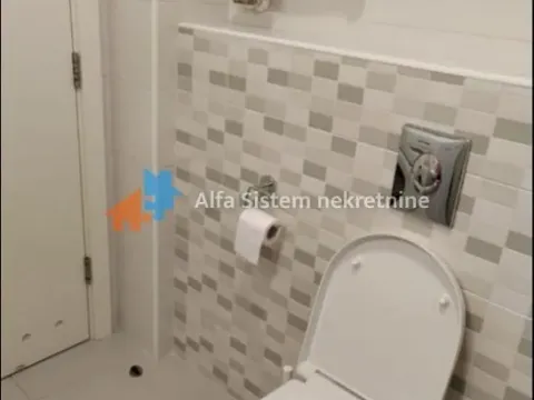 Izdavanje, dvosoban stan, 44m², Vračar Sve Podlokacije, Beograd - image 9