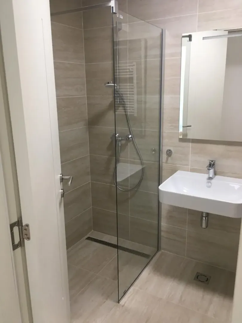 Modern bathroom with a walk-in shower and a sink.