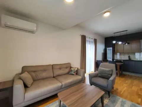 Izdavanje, dvosoban stan, 80m², Zabjelo, Podgorica - image 4