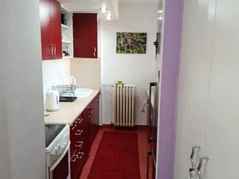 Izdavanje, dvosoban stan, 60m², Liman 2, Novi Sad Sve Podlokacije - image 5