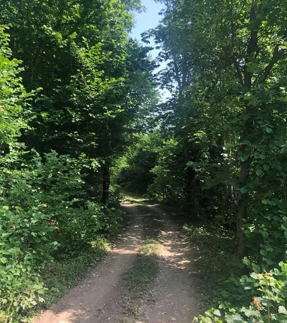 Sale, land lot, 70000m², Mojkovac, Crna Gora