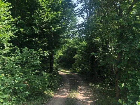 Prodaja, plac, 70000m², Mojkovac, Crna Gora - image 5