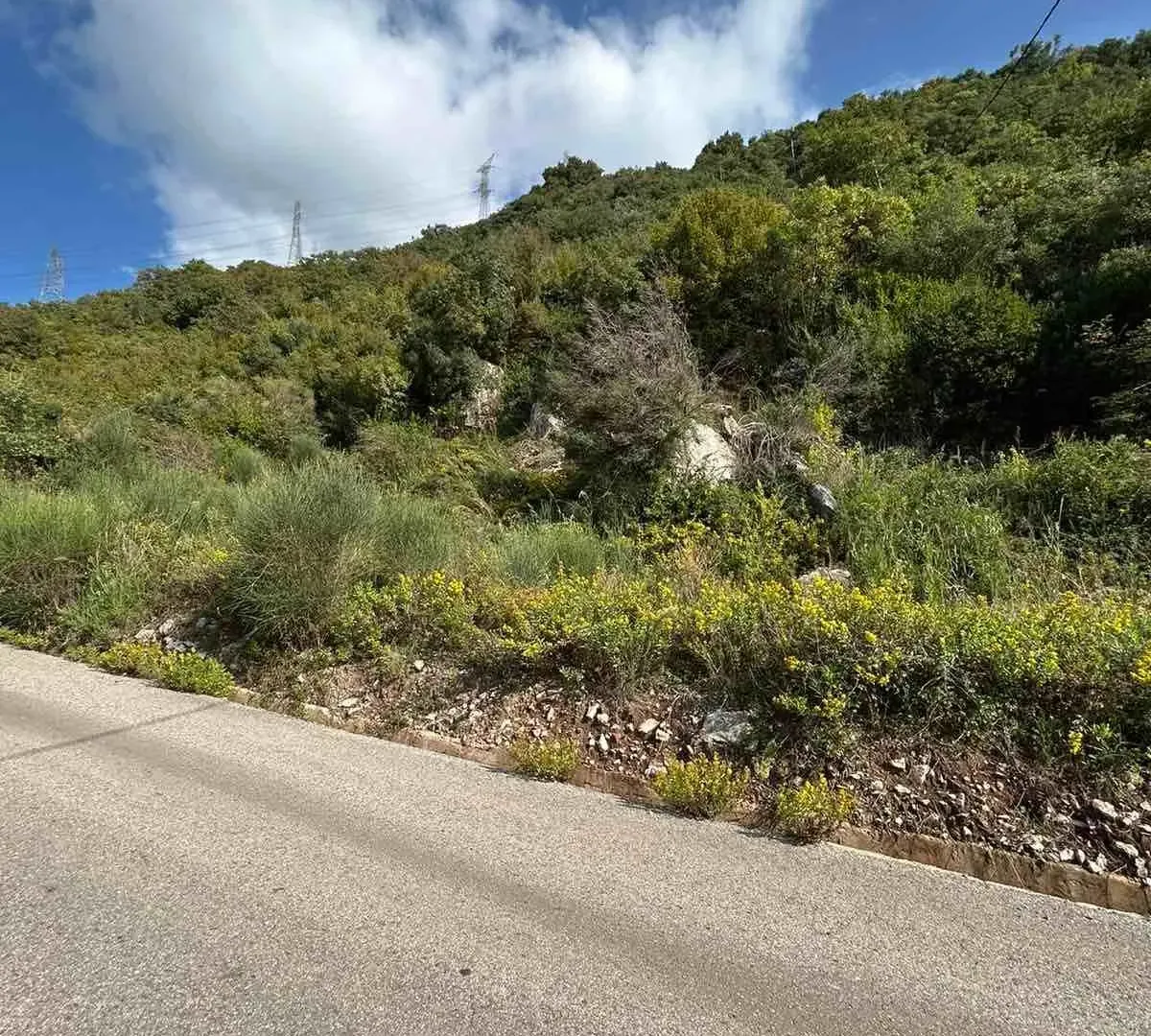 Prodaja, plac, 4500m², Kotor, Crna Gora