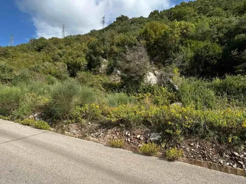 Prodaja, plac, 4500m², Kotor, Crna Gora - image 4