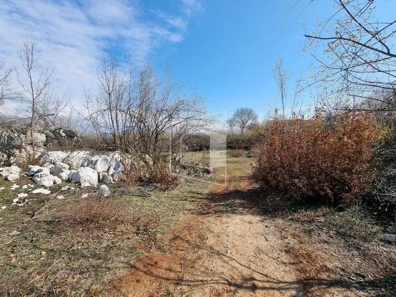 Prodaja, plac, 13500m², Bandići, Danilovgrad