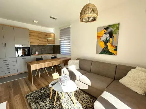 Sale, studio apartment, 26m², Zabjelo, Podgorica - image 6