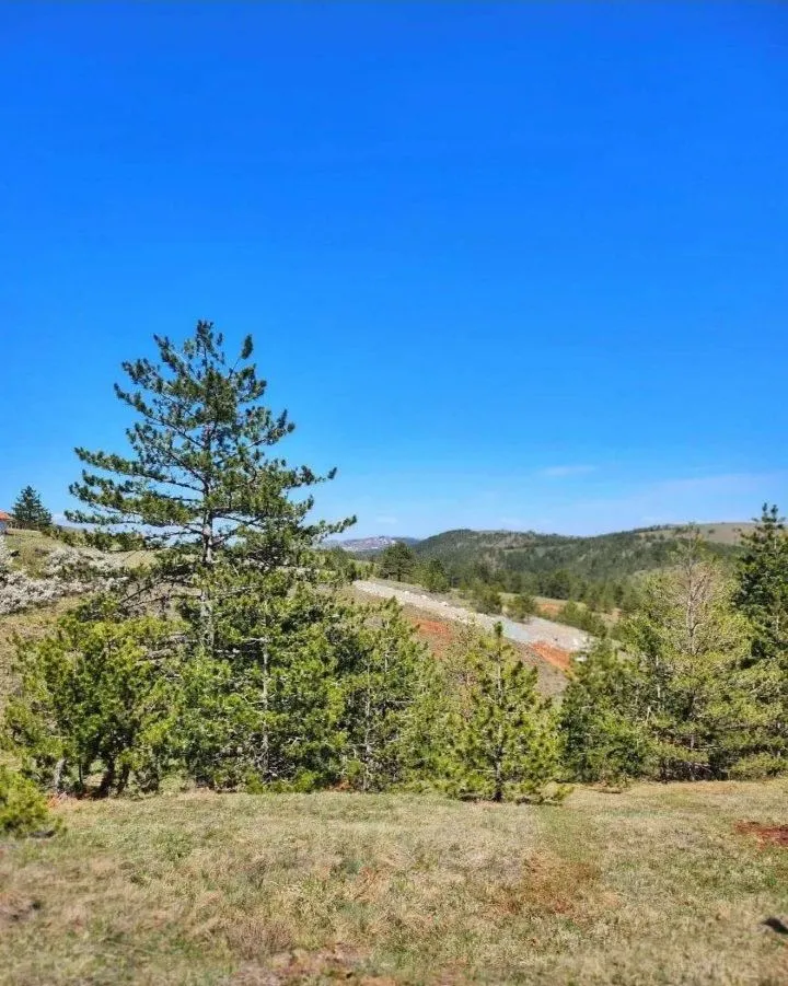 Prodaja, plac, 400m², Centar, Zlatibor