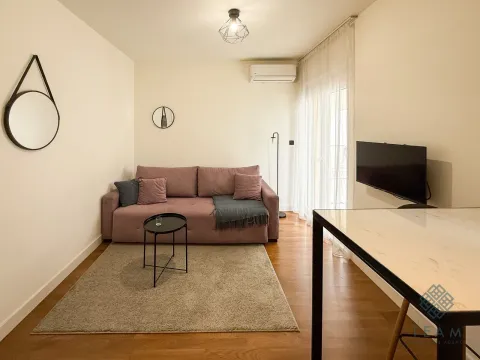 Izdavanje, garsonjera, 24m², Zagorič, Podgorica - image 3