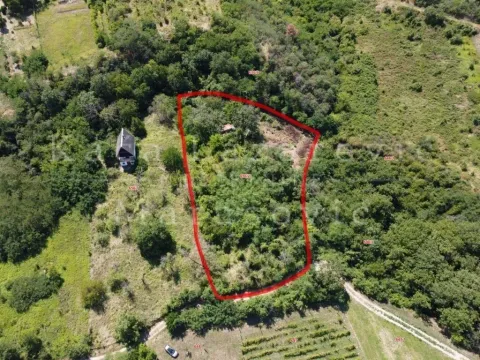 Sale, land lot, 35m², Stari Slankamen, Inđija