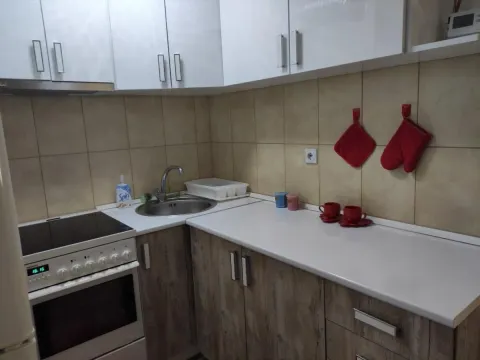 Izdavanje, jednosoban stan, 43m², Centar, Niš - image 9