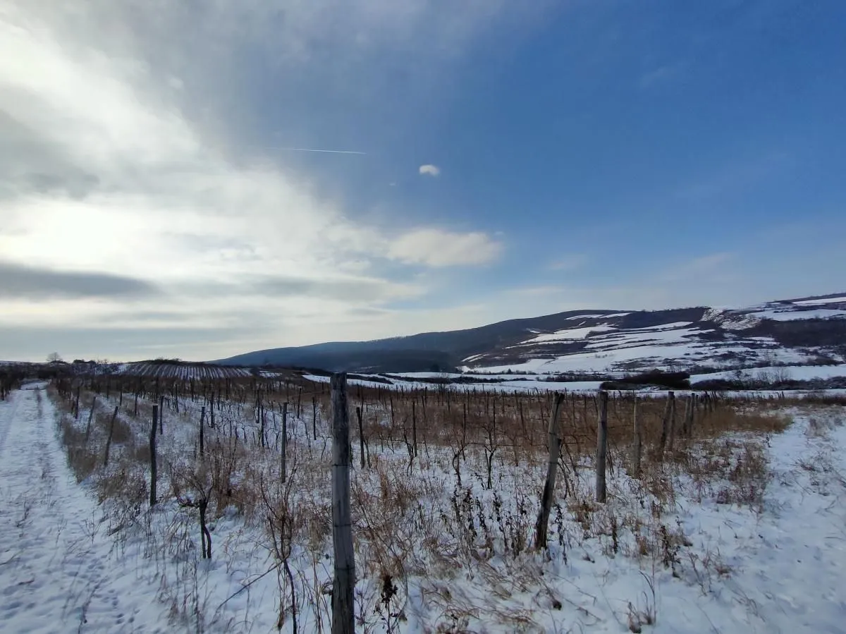 Prodaja, plac, 300m², Beočin, Srbija