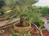 Sale, house, 201m², Dobre Vode, Bar - image 9