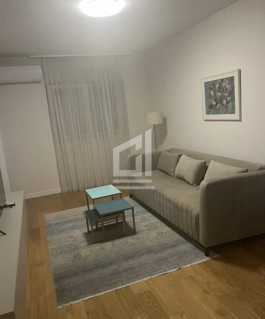 Rent, one bedroom apartment, 48m², Central Point, Podgorica