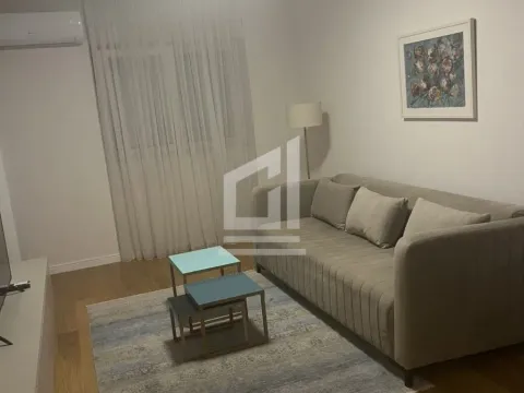 Rent, one bedroom apartment, 48m², Central Point, Podgorica - image 15