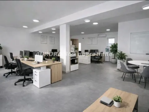Izdavanje, poslovni prostor, 350m², Petrovaradin, Novi Sad - image 2