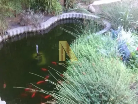 Sale, house, 240m², Salajka, Novi Sad Sve Podlokacije - image 10